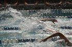Swimming vs Babson  Wheaton College Swimming vs Babson College. - Photo By: KEITH NORDSTROM : Wheaton, Swimming, Babson
